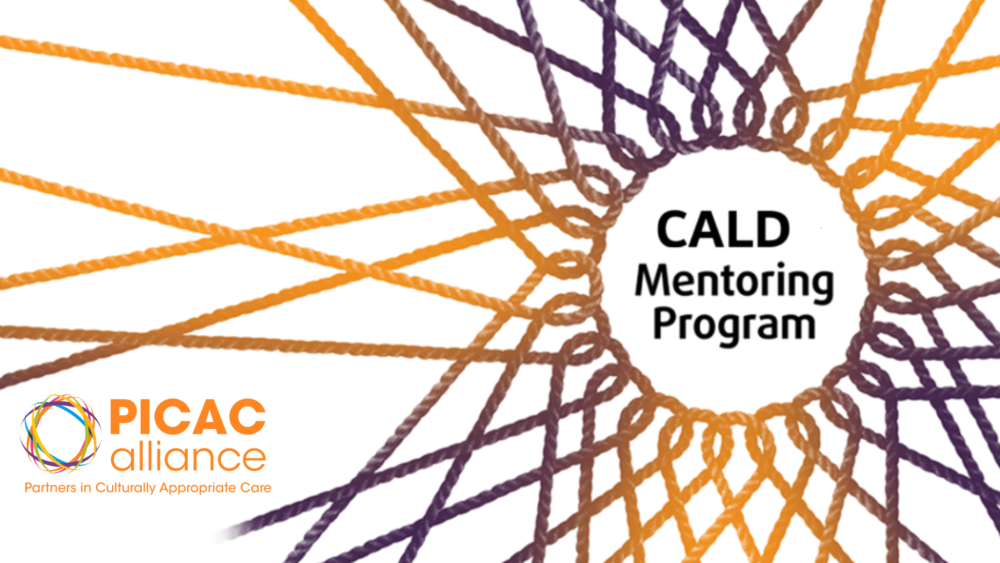 Cultural and Linguistic Diversity Mentoring Program visual
